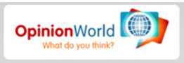 What is Opinion World Surveys About