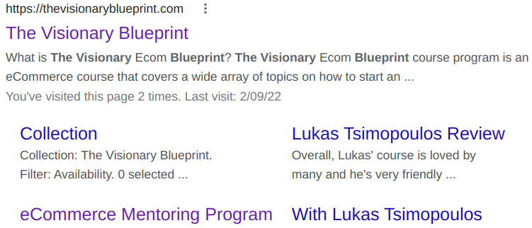 The Visionary Blueprint